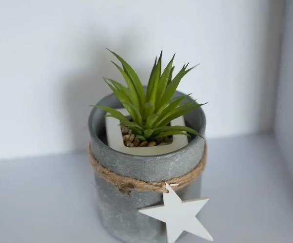 Apartma Rene شقة *